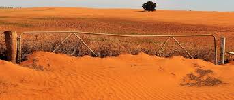Read more about the article Sunraysia Daily- Victoria needs more drought support