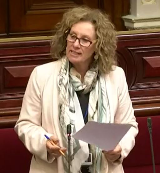 Read more about the article Adjournment- Working with children checks