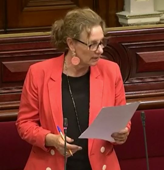 Read more about the article Amendment- Serious Offenders and Other Matters Bill 2019