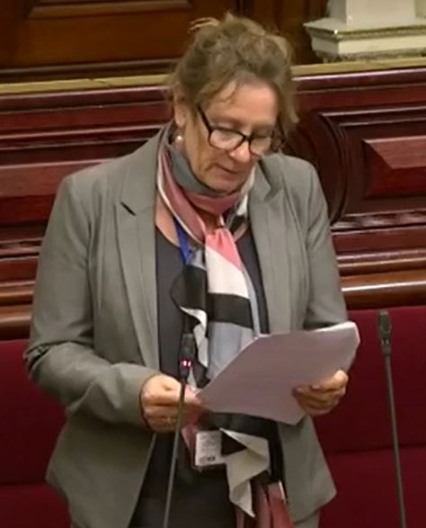Read more about the article Adjournment- Child pornography and exploitation