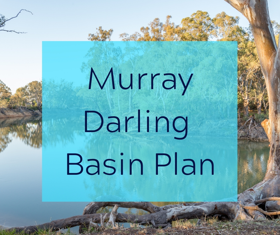 Read more about the article Action to fix Basin Plan