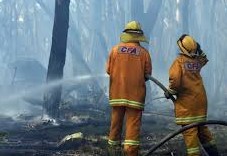 Read more about the article Shepparton News- Maxwell seeks funding for bush firefighters