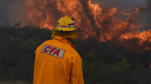 Read more about the article Adjournment- CFA Fire services