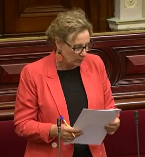 Read more about the article Speech- Out of Home Care Bill 2020
