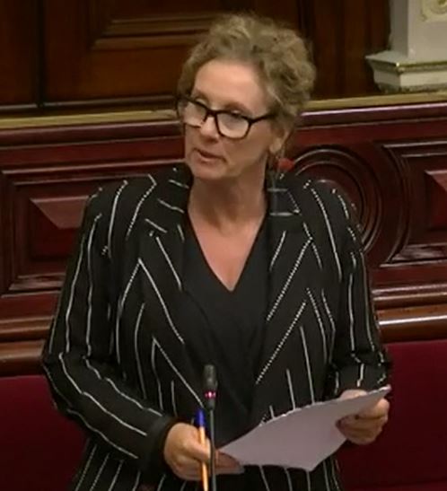 Read more about the article Speech- Road Safety and Other Legislation Amendment Bill 2019