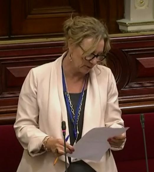 Read more about the article Constituency Question- Delivery of bushfire community grants