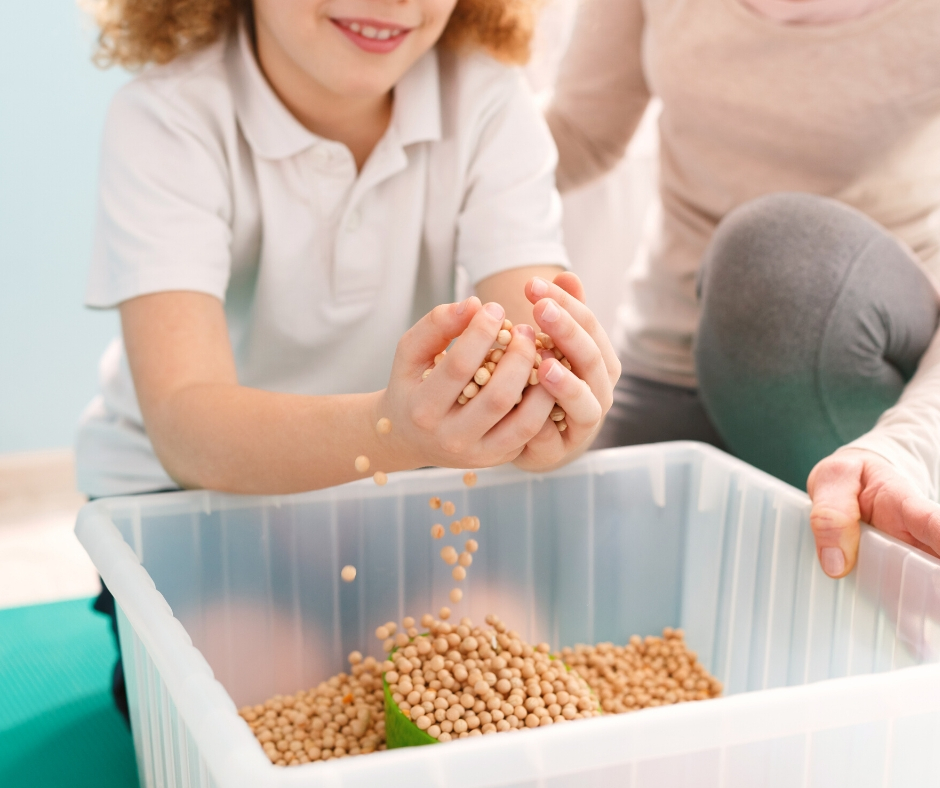 Read more about the article Members Statement- Corryong Sensory Play