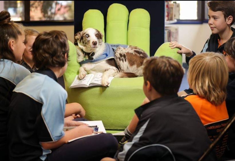 Read more about the article Adjournment- K9TEACH Pet therapy funding