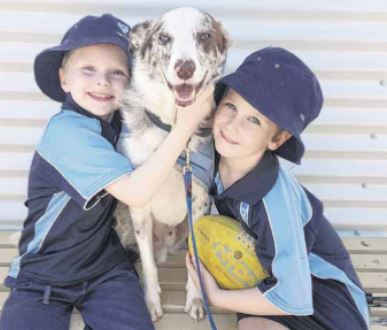 Read more about the article Wangaratta Chronicle- Maxwell’s poetic call for K9-Teach