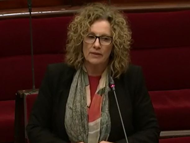 Read more about the article Speech – Notice of Motion: Coalition Ombudsman referral