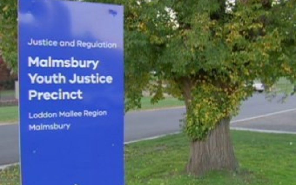 Read more about the article Members Statement- Malmsbury disfigurement
