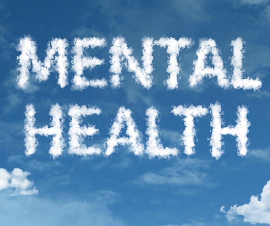 Read more about the article Constituency question- Mental health services in Mitchell Shire