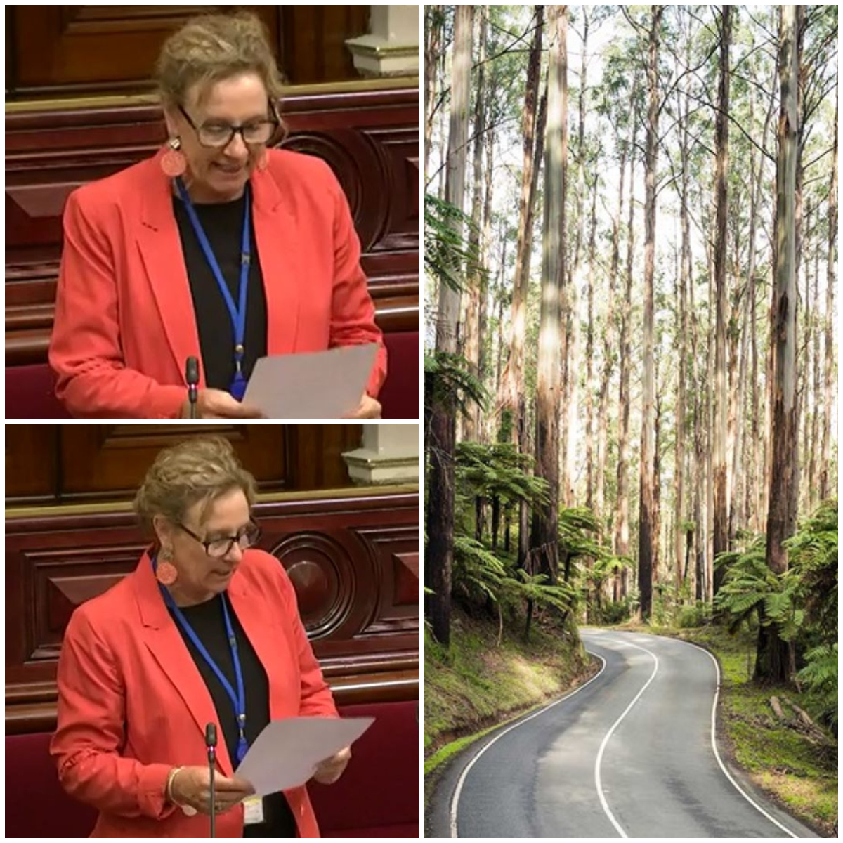 Read more about the article Long vehicle safety concerns on Black Spur