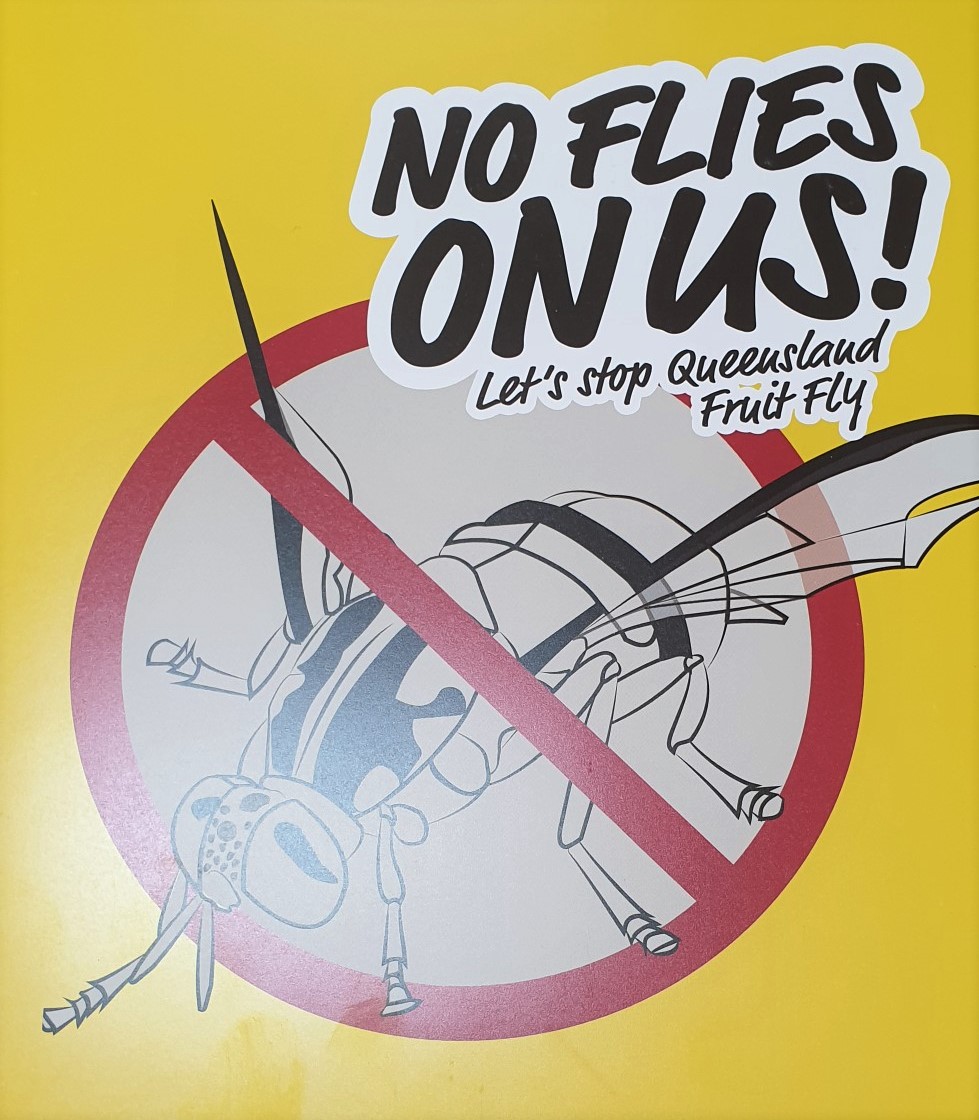 Read more about the article Constituency question- Fruit fly