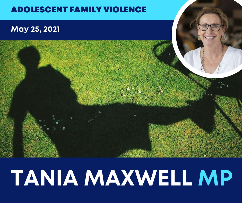 Read more about the article Prevention at heart of budget adolescent violence and mental help
