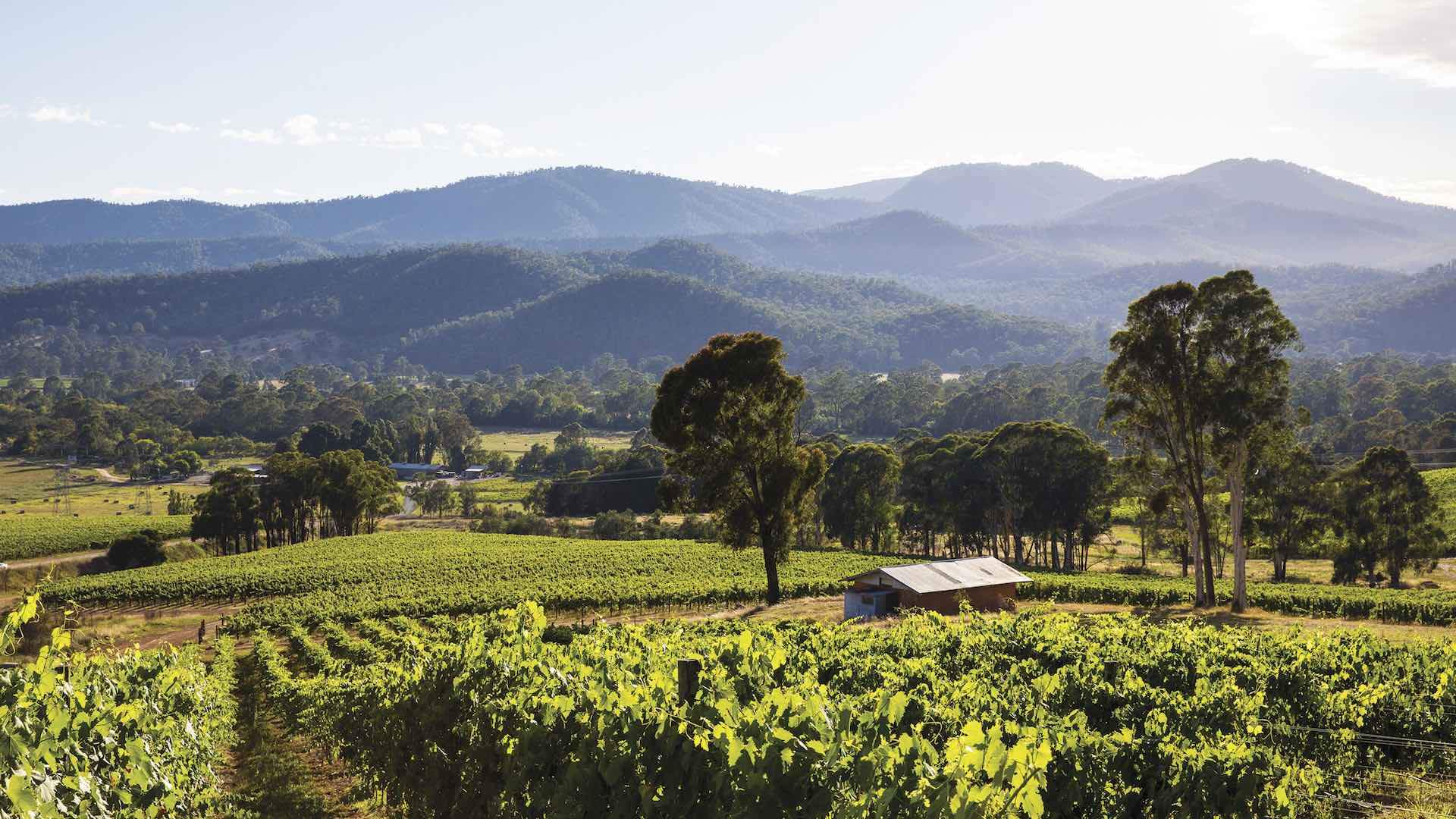 Read more about the article Give Northern Victoria tourism a head start