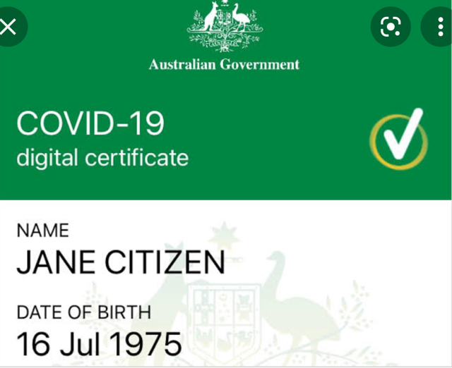 Read more about the article Hub steps up to vax verification demand