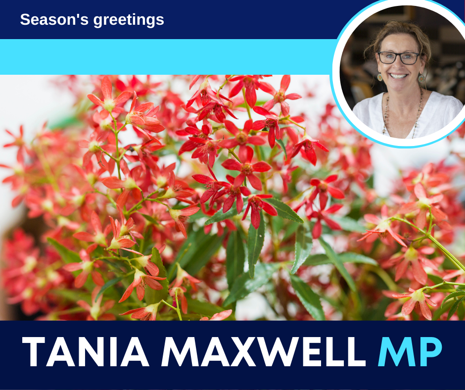 Read more about the article Thank you, and season’s greetings